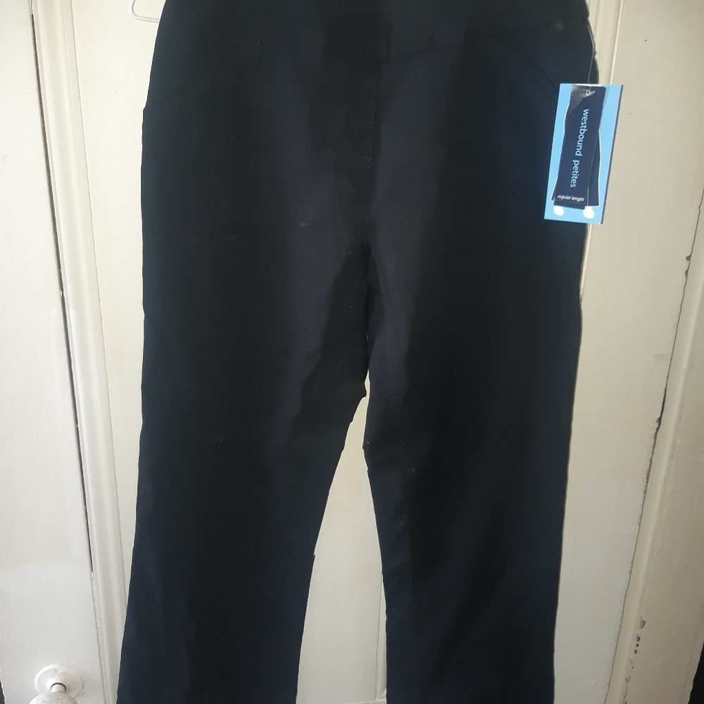 Ladies dress pants